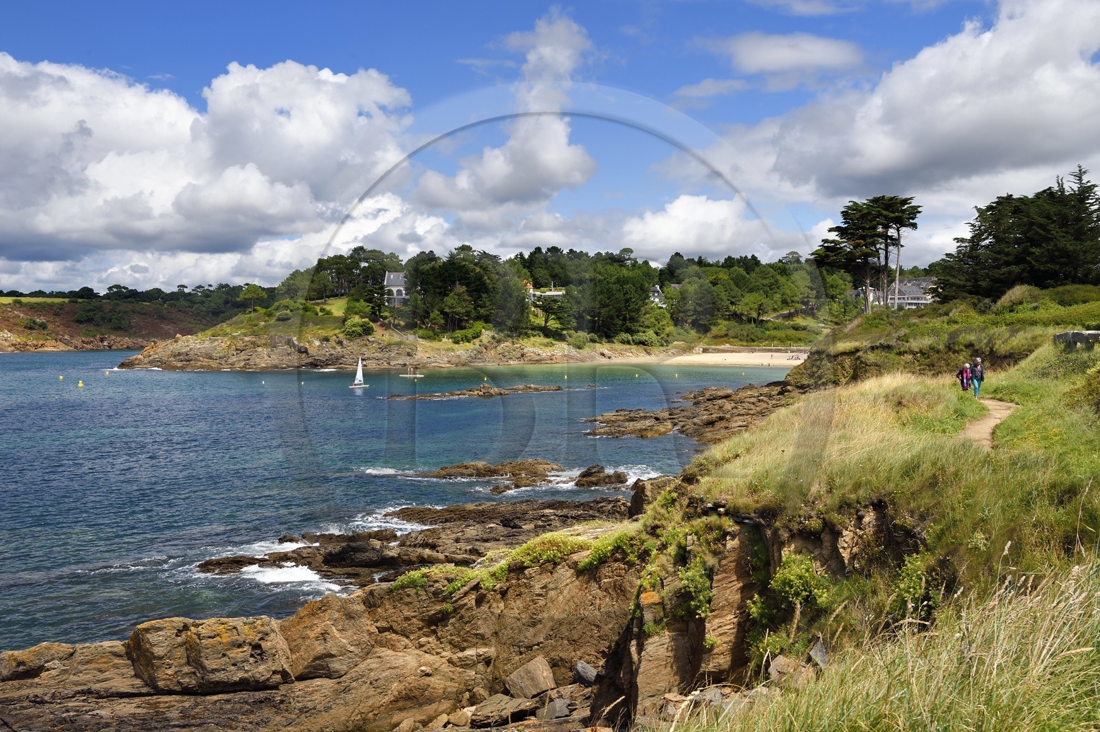 France, Finistère (29), Moelan-sur-Mer, plage de Kerfany les Pins, le littoral entre Kerfany les Pins et la plage de Trenez sur le sentier des douaniers GR 34