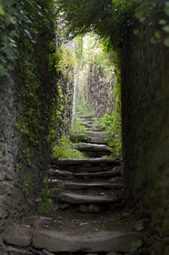 France, Finistere, Morlaix,  venelle (alley) de la Roche