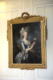 France, Yvelines, Chateau de Versailles, listed as World Heritage by UNESCO, Domaine de Marie Antoinette (Queen Marie Antoinette' domain), the Petit Trianon, Marie Antoinette's portrait with a rose by Elisabeth Vigee-Le Brun