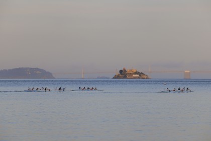 United States, California, San Francisco Bay, pirogues in front of the island of Alcatraz