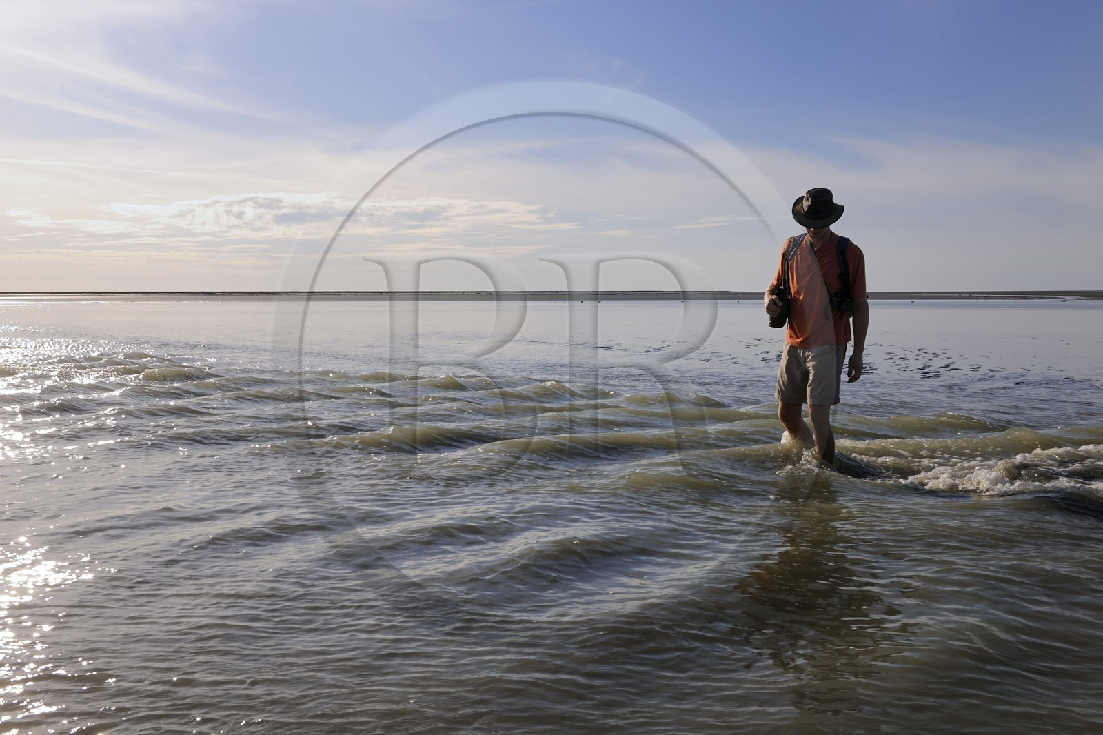 France, Manche (50), traversée à pied de la Baie du Mont-Saint-Michel, classé Patrimoine Mondial de l'UNESCO