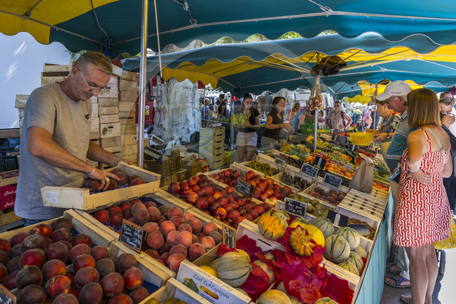 France, Bouches-du-Rhône (13), Parc Naturel Régional des Alpilles, Saint-Rémy-de-Provence, étal de fruits sur le marché place Jules Pellissier