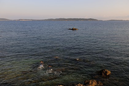 France, Var (83), presqu'île de Giens, la côte vers la Tour Fondue, plongée en apnée avec l'île de Porquerolles en arrière plan