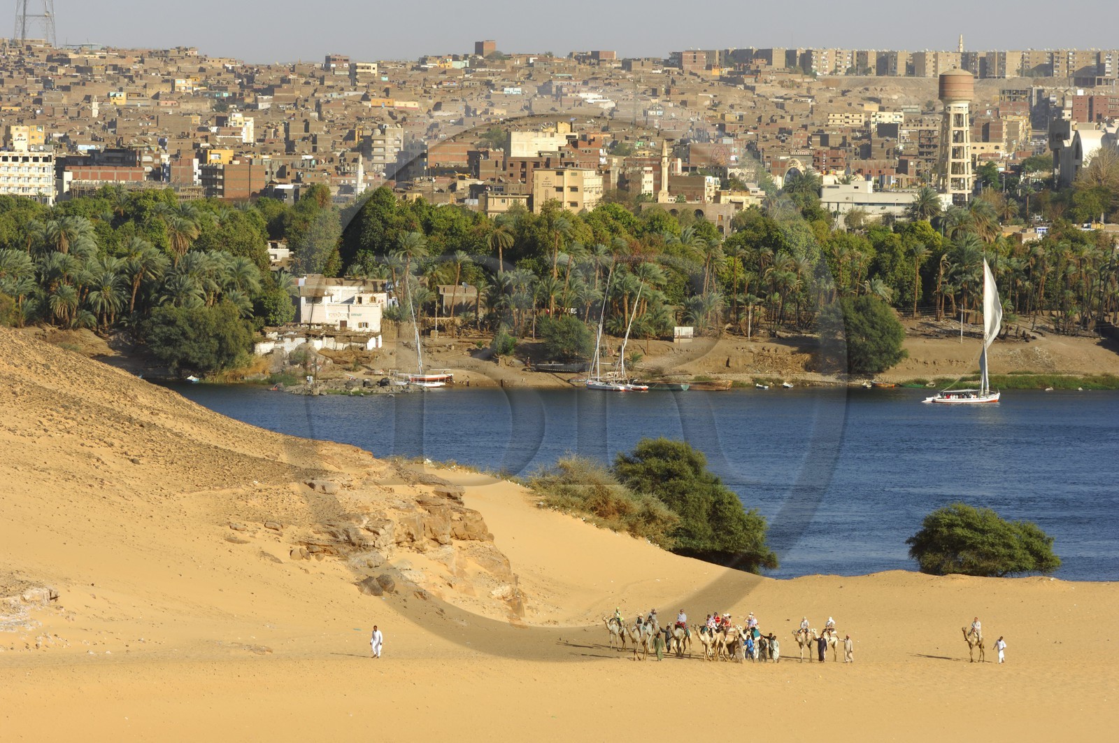 Egypte, Haute Egypte, Nubie, vallée du Nil, Assouan, la ville et dromadaires sur les dunes de sables de la rive gauche