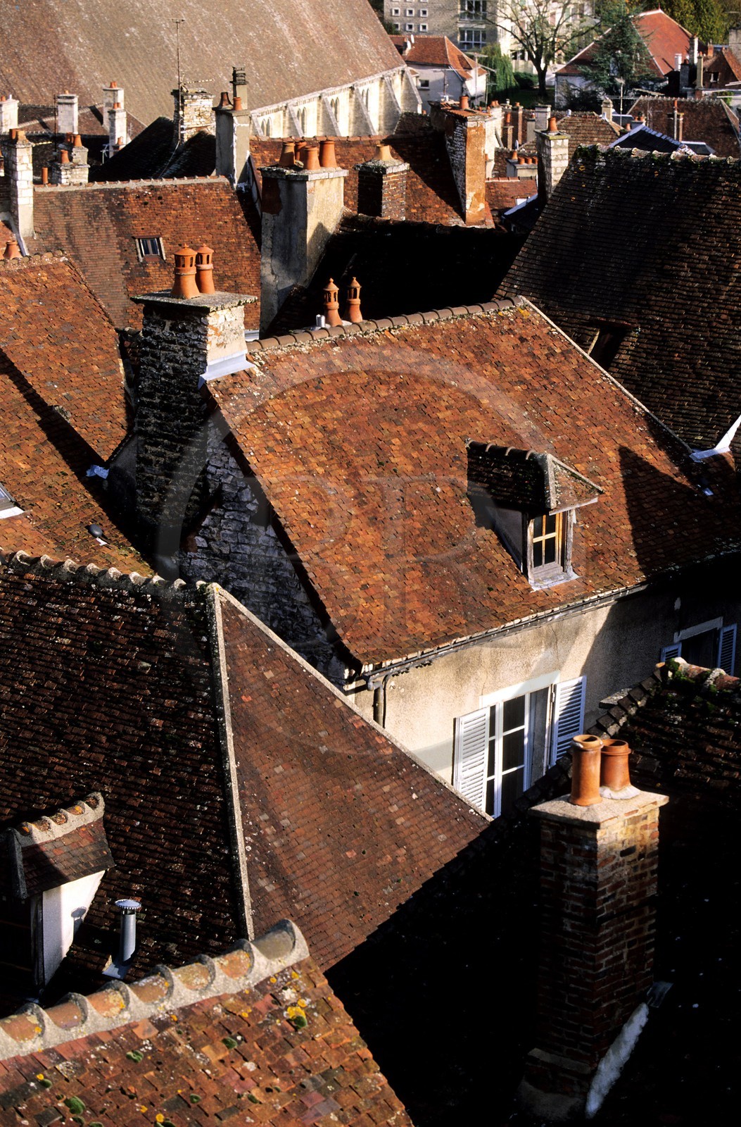France, Yonne (89), ville de Tonnerre, les toits de la vieille ville