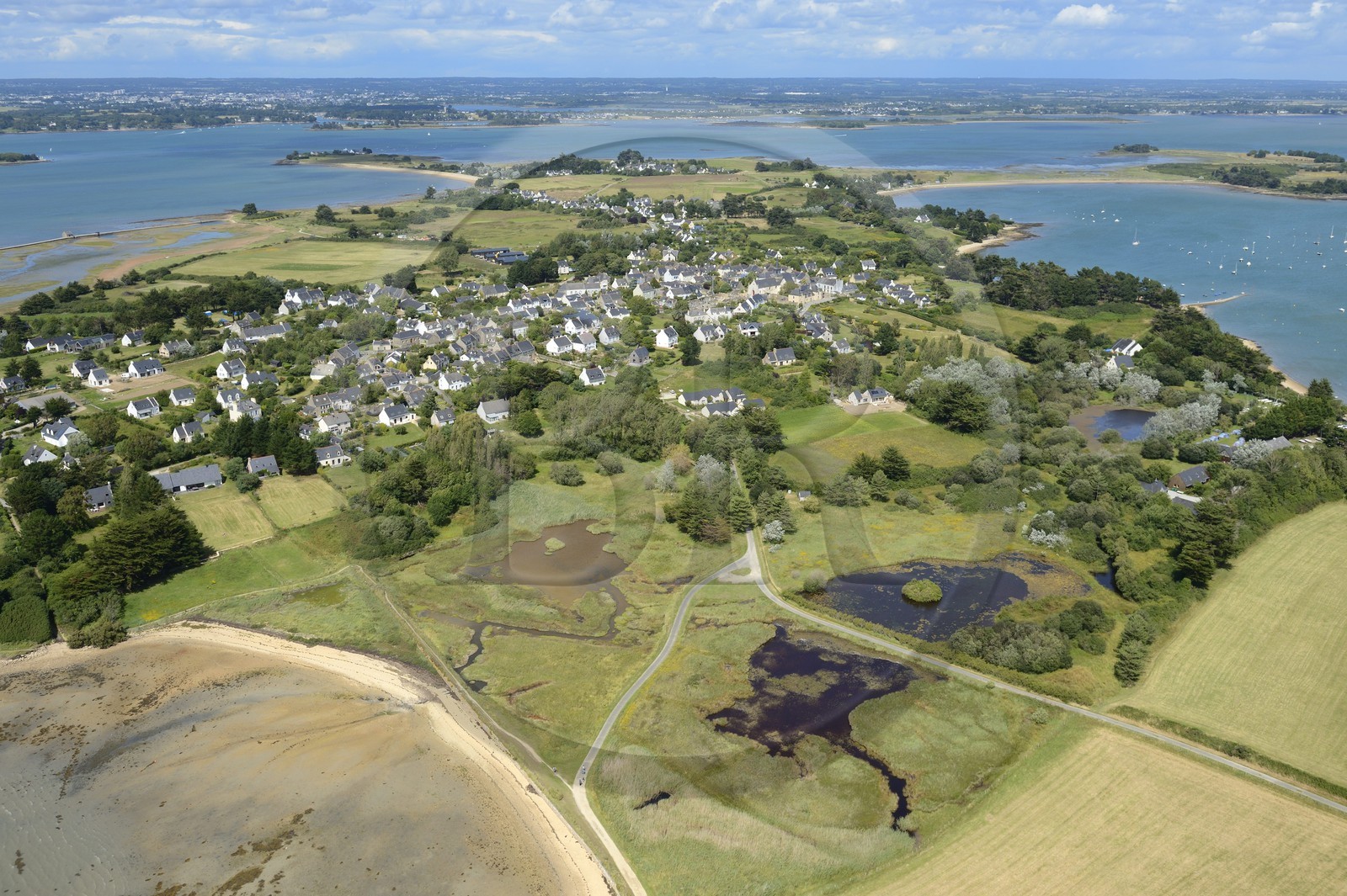 France, Morbihan (56), Golfe du Morbihan, Ile d'Artz, Le Bourg (vue aérienne)