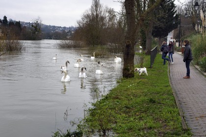 France, Val de Marne, Le Perreux-sur-Marne, the Marne riverside flooded