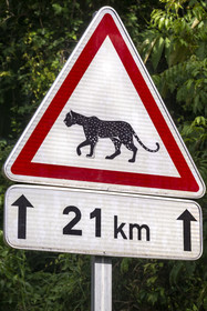 France, French Guiana, Kourou, Guiana Space Centre (Centre spatial guyanais, CSG) also called Europe's Spaceport, road signs on the Space Road warning of the potential crossing of jaguars