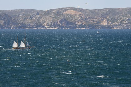 France, Bouches du Rhone, discovery of the harbor of Marseille aboard the schooner Alliance built 1949
