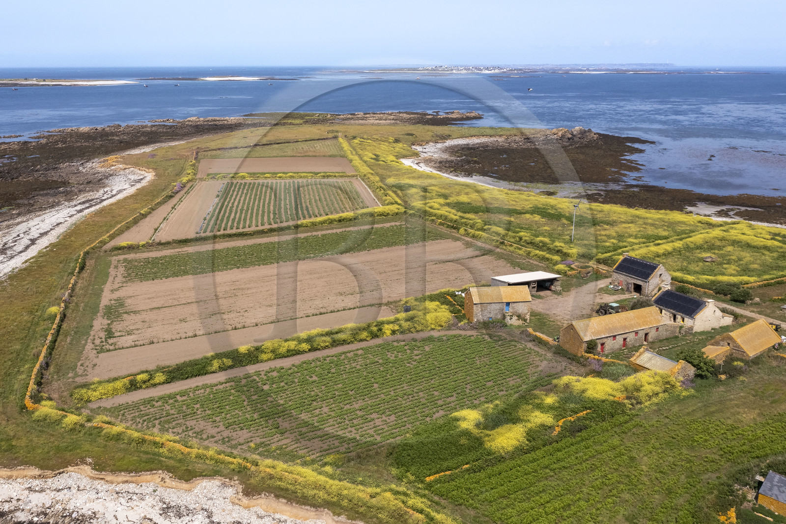 France, Finistère (29), Mer d'Iroise, archipel de Molène, Ile de Quéménès, ferme de Quéménès bio et autonome en énergie (vue aérienne)