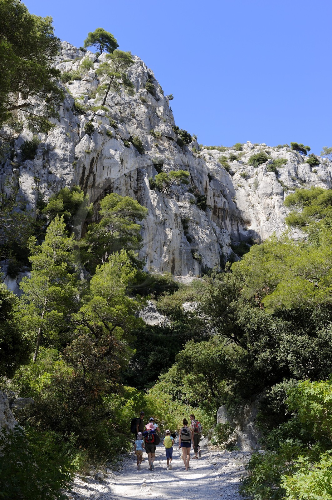 France, Bouches-du-Rhône (13), Cassis, le sentier menant à la calanque d'en Vau