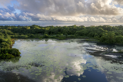 France, French Guiana, Kourou, wetlands, forests and savannas protected within the space centre and managed by the National Forestry Office (ONF), the Iles du Salut in the background and le bois-diable Lake in front (aerial view)