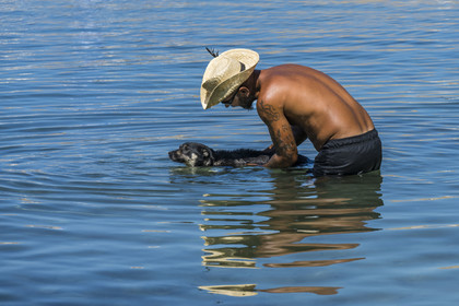 France, Alpes-Maritimes, Cannes, Lerins Islands, Saint-Honorat island, a master bathes his dog in the sea