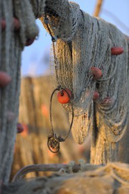 France, Hérault (34), Sète, quartier de la Pointe Courte, village de pêcheurs donnant sur l'étang de Thau, filets de pêche