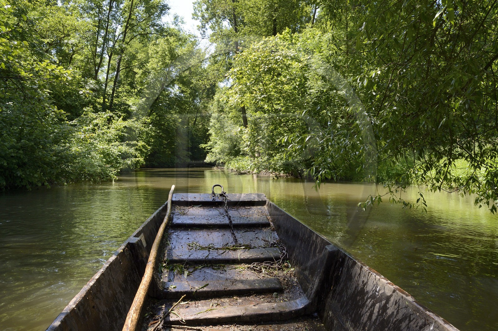 France, Bas-Rhin (67), région d'Ebersmunster et Muttersholtz, le Grand Ried, barque à fond plat sur la rivière l'Ill