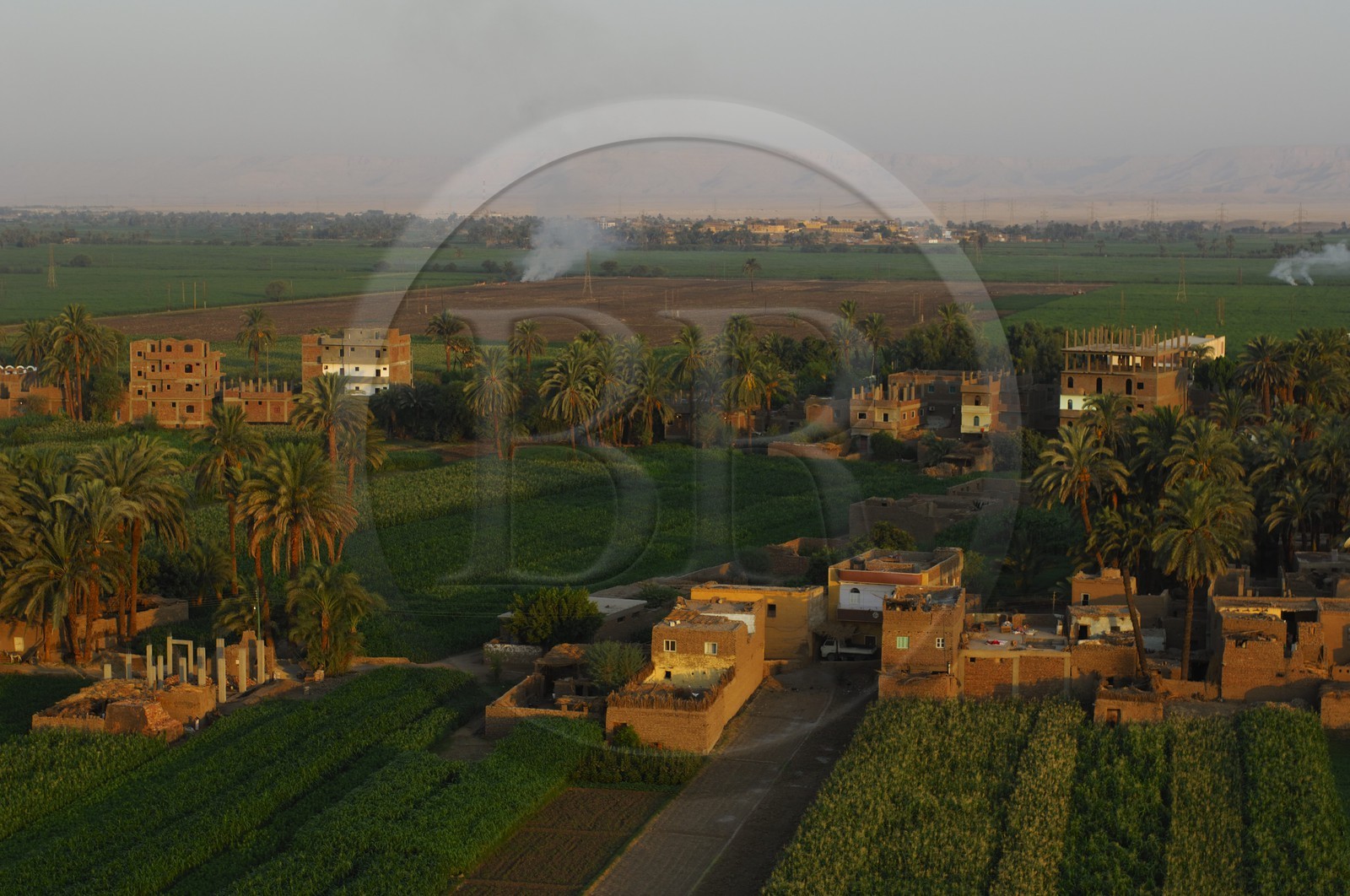 Egypte, Haute Egypte, vallée du Nil, Louxor, champ sur la rive ouest (vue aérienne)