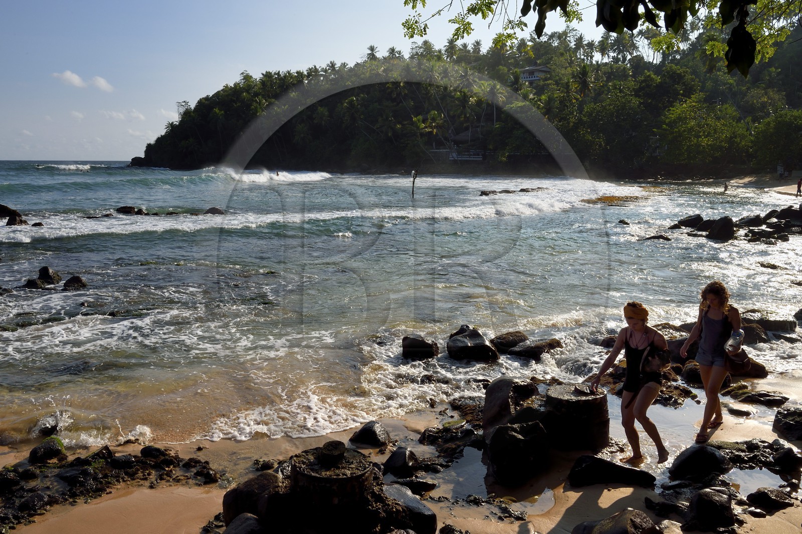 Sri Lanka, Province du Sud, Matara (district), Weligama, plage de Mirissa