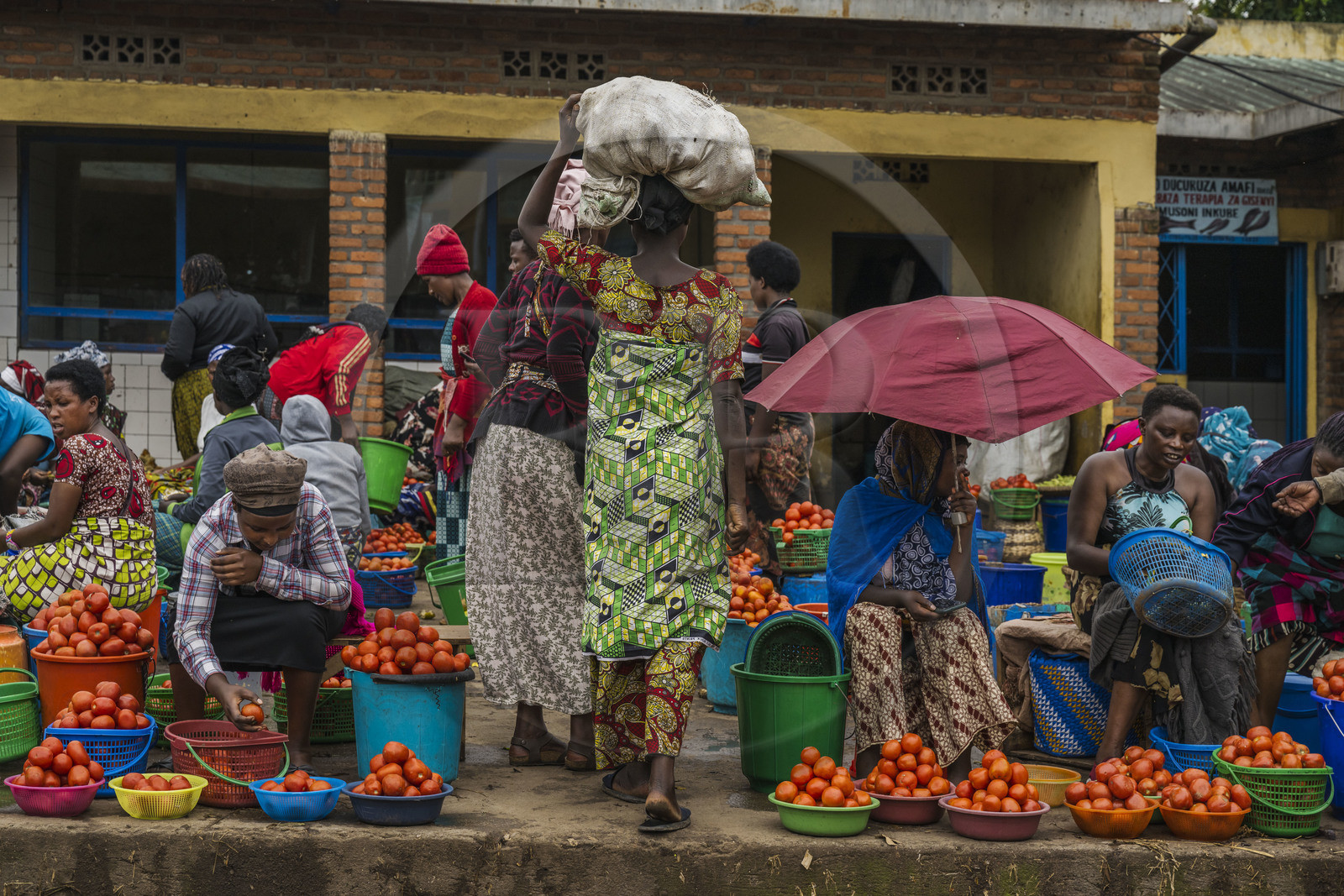 Rwanda, Province du Nord, Musanze (anciennement nommée Ruhengeri), le marché central, marchandes de légumes
