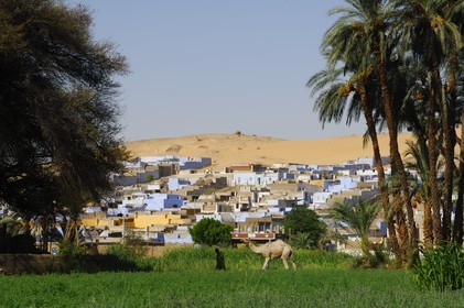 Egypt, Upper Egypt, Nubia, Nile Valley, Aswan, west bank, nubian village at the edge of the desert