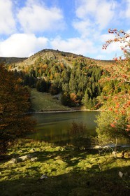 France, Haut-Rhin (68), en contrebas de la route des Crêtes, le lac des Truites ou lac du Forlet, situé dans un ancien cirque glaciaire au pied du massif du Tanet