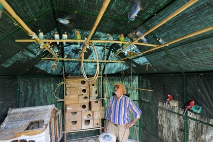 France, Aude, Saint-Martin-le-Vieil, the former Cistercian abbey of Villelongue, the aviary and the owner Mr. Jean Eloffe