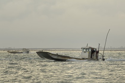 France, Charente-Maritime (17), le bassin Marrennes-Oléron au large de l'Ile d'Oléron