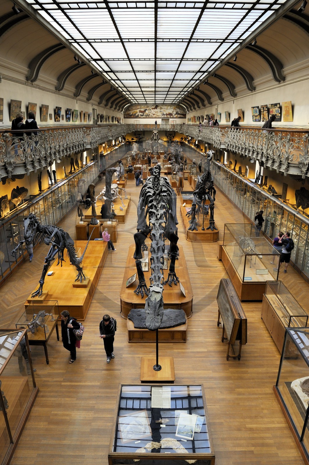 France, Paris (75), Jardin des Plantes, Museum National d'Histoire Naturelle, Galeries de Paléontologie et d'Anatomie comparée