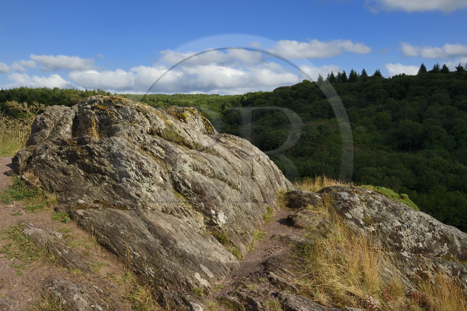 France, Morbihan (56), forêt de Brocéliande, Tréhorenteuc, la lande du Val sans retour France, Morbihan (56), forêt de Brocéliande, Tréhorenteuc, la lande du Val sans retour