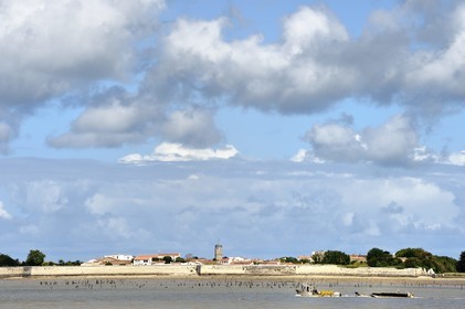 France, Charente-Maritime (17), Ile d'Aix, le village aussi appelé le bourg et un chaland ostréicole en premier plan