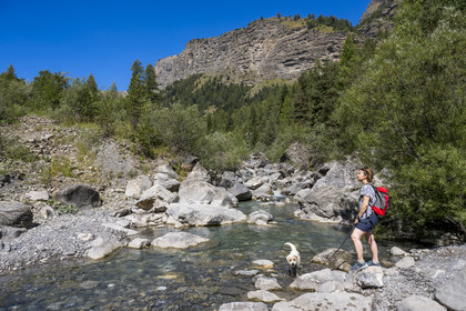 France, Hautes Alpes (05), Chateauroux-les-Alpes, randonnée de la Cascade de la Pisse par le canal de Gramorel, randonneuse avec son chien en bordure de la rivière du Rabioux aux portes du Parc national des Écrins