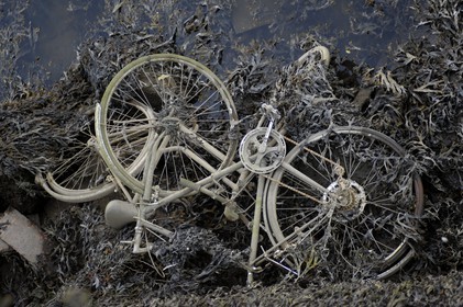 Republic of Ireland, County Dublin, Dublin, popular district of the docks