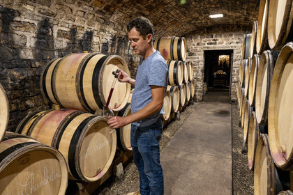 France, Cote d'Or, cultural Landscape of the climates of Burgundy listed as World Heritage by UNESCO, Route des Grands Crus (road of Vintage Wines), vineyard of the Côte de Nuits, Gevrey Chambertin, Domaine Dugat, Bertrand Dugat the cellars under the former Tithe Cellar of the Bishops of Langres where he stores his barrels