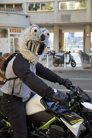 France, Var, Toulon, plush helmet biker