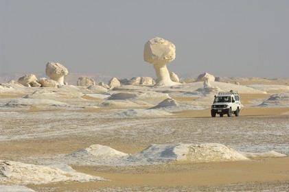 Egypte, désert libyque, le Désert Blanc au nord de Farafra