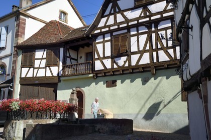 France, Bas Rhin, the Alsace Wine Route, Westhoffen, half-timbered house and fountain