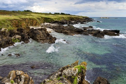 France, Finistère (29), Moelan-sur-Mer, le littoral entre Kerfany les Pins et la plage de Trenez sur le chemin de Grande Randonnée GR 34 ou sentier des douaniers