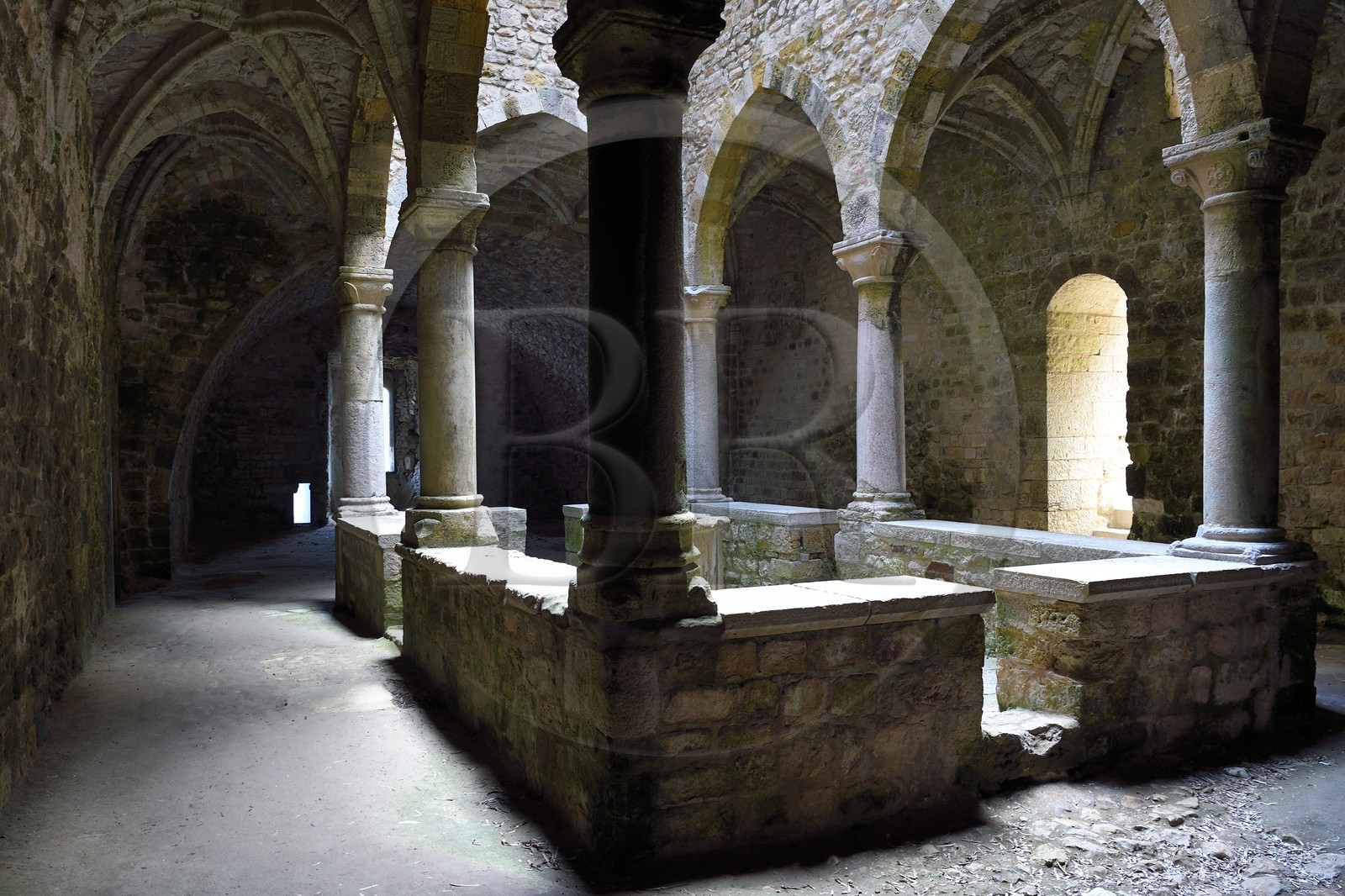 France, Alpes-Maritimes (06), Cannes, Iles de Lérins, Ile de Saint-Honorat, Abbaye de Lérins, le cloitre inférieur dit de travail du XIVème siècle de l'ancien monastère fortifié élevé en 1073