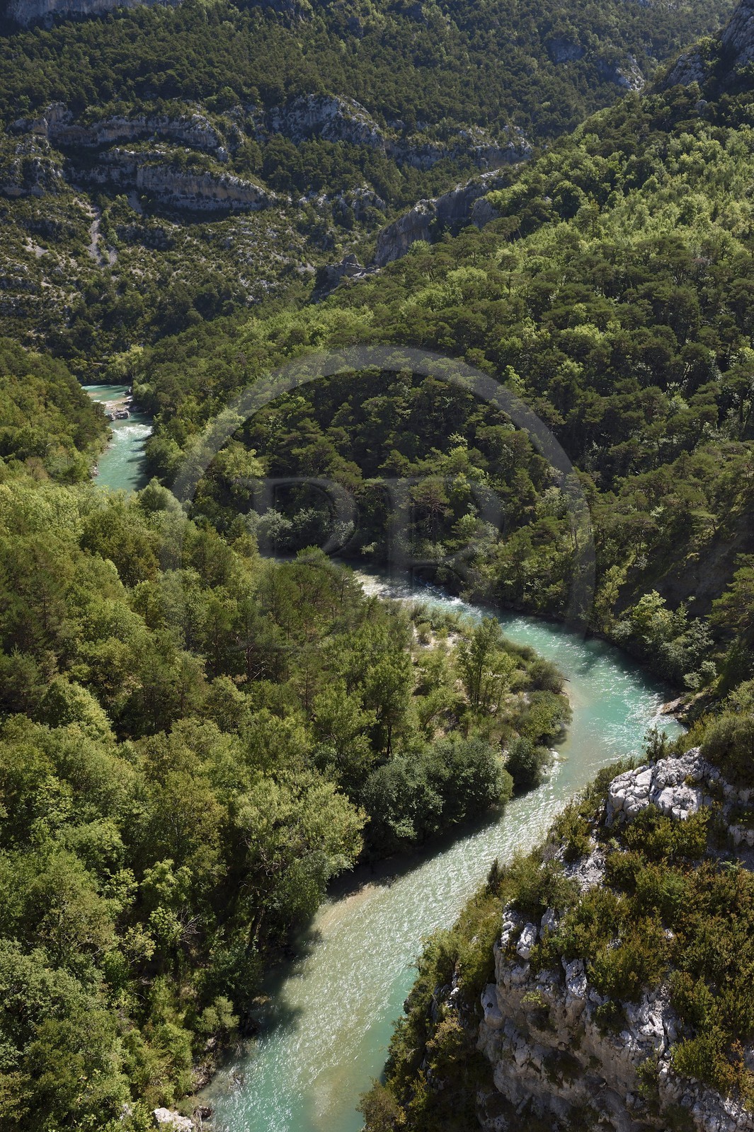 France, Alpes-de-Haute-Provence (04), Parc Naturel Régional du Verdon, les Gorges du Verdon en contrebas du village de Rougon et du Point Sublime