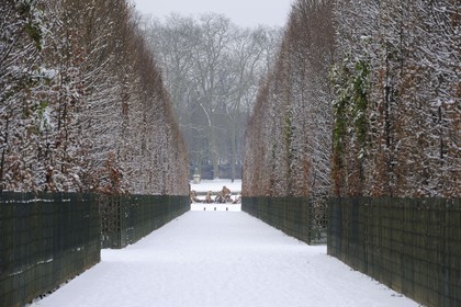 France, Yvelines, Chateau de Versailles, listed as World Heritage by UNESCO, Apollo Basin by Tuby with the Apollo's Cart