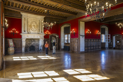 France, Cote d'Or, cultural Landscape of the climates of Burgundy listed as World Heritage by UNESCO, Route des Grands Crus (road of Vintage Wines), vineyard of the Côte de Nuits, Vougeot, the Chateau of Clos de Vougeot, the Renaissance reception room