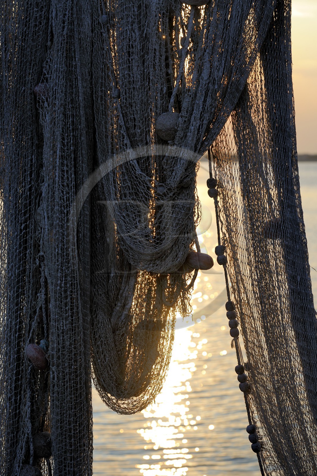 France, Hérault (34), Sète, quartier de la Pointe Courte, village de pêcheurs donnant sur l'étang de Thau, filets de pêche France, Hérault (34), Sète, quartier de la Pointe Courte, village de pêcheurs donnant sur l'étang de Thau, filets de pêche