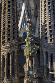 Spain, Catalonia, Barcelona, Eixample district, Sagrada Familia basilica by Catalan modernist architect Antoni Gaudi, listed as a UNESCO World Heritage Site, facade of the Nativity and the cypress symbolizing the Tree of Life