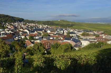 France, Marne, regional park of Montagne de Reims, Verzenay and its wind mill perched atop a hill overlooking the Champagne vineyards