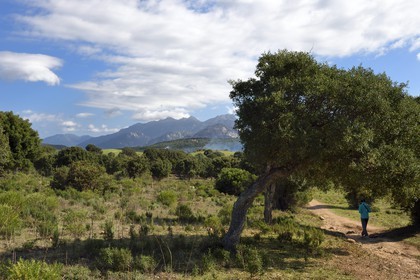 France, Corse du Sud, Sartene, archaeological site of Cauria