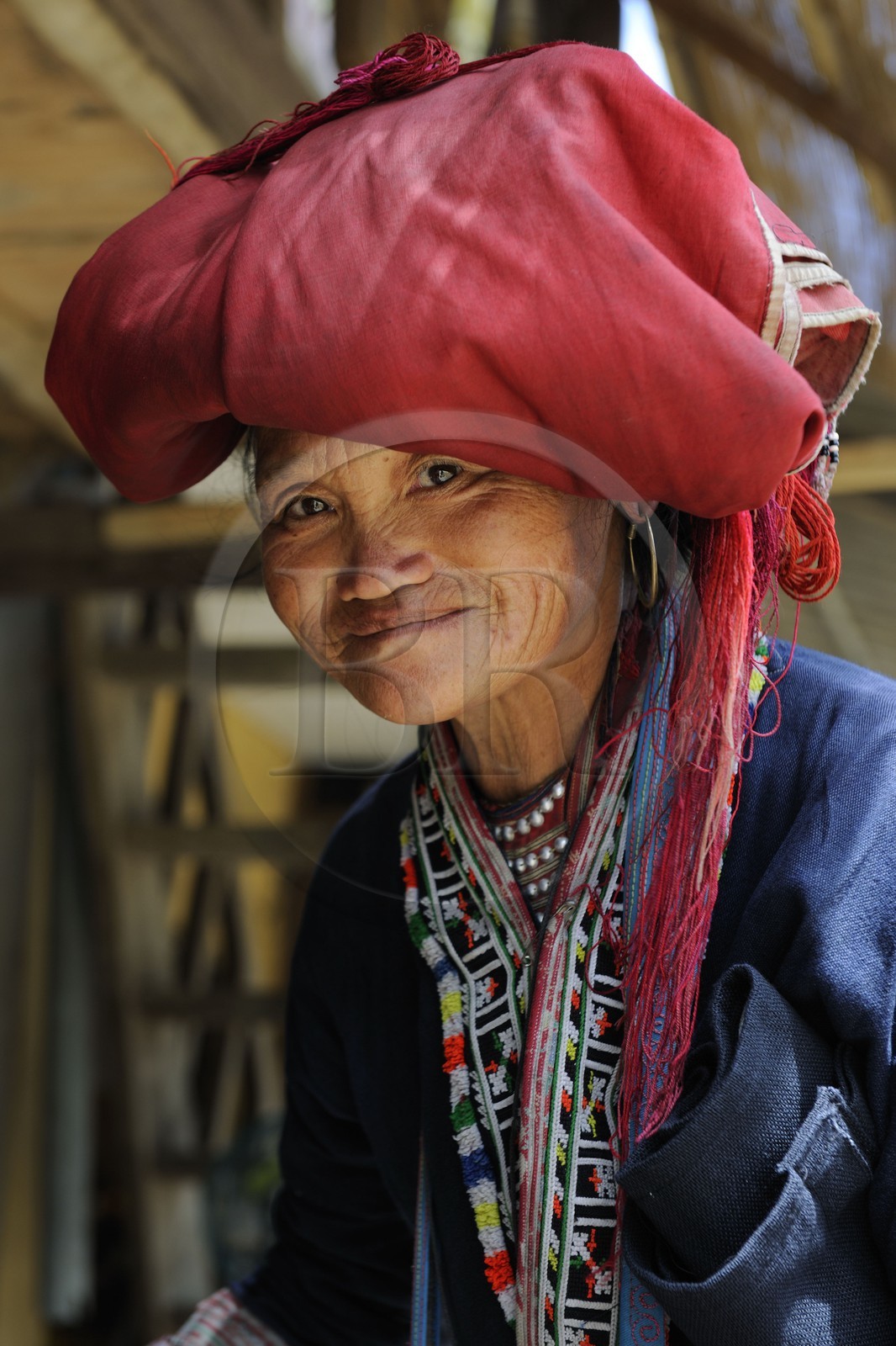 Vietnam, province de Lao Cai, région de Sapa, Ta Phin, femme de la minorité ethnique des Dzao Rouges