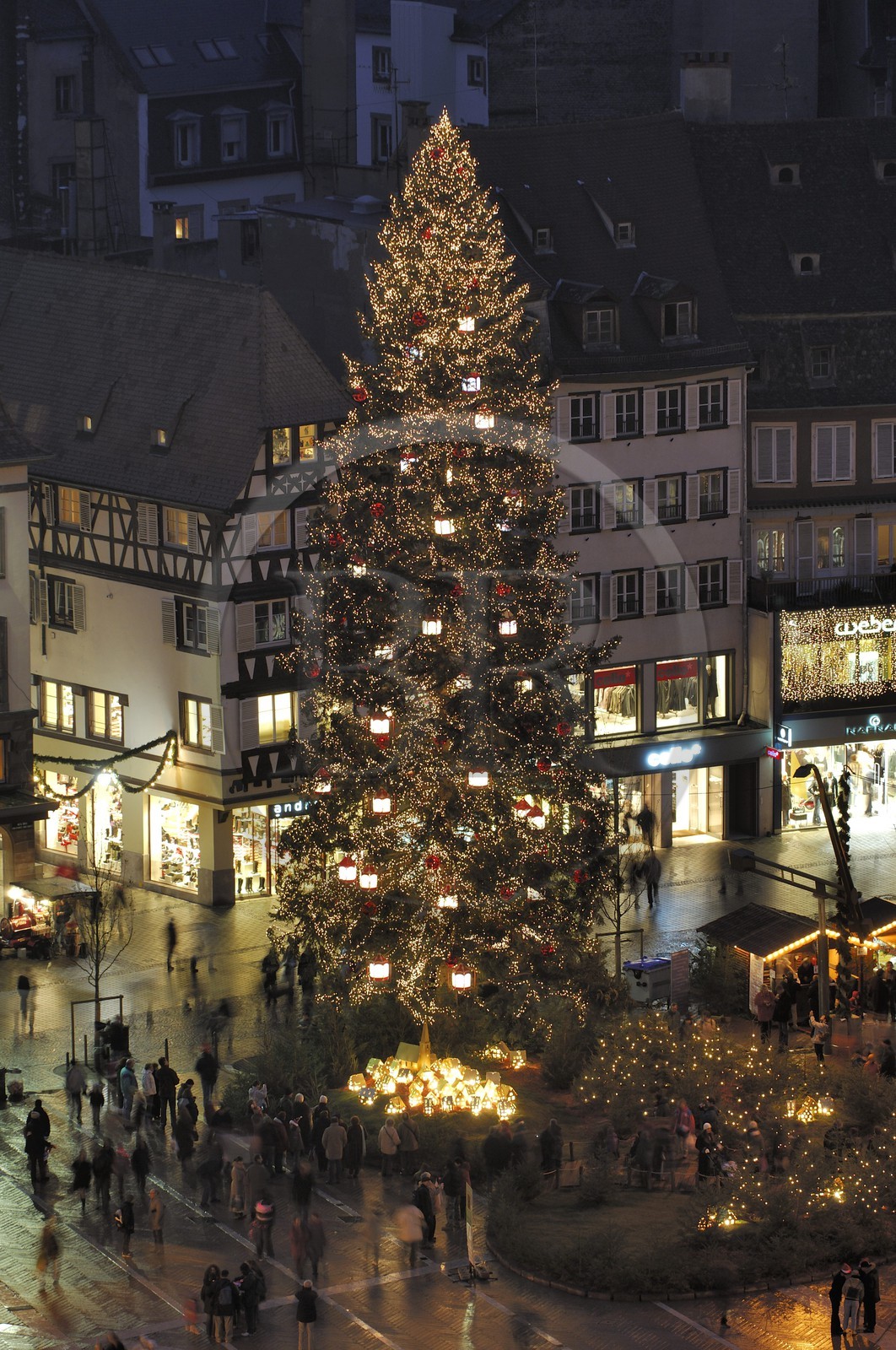 France, Bas Rhin (67), Strasbourg, le Grand Sapin de Noel de la place Kleber et la cathedrale France, Bas Rhin (67), Strasbourg, le Grand Sapin de Noel de la place Kleber et la cathedrale