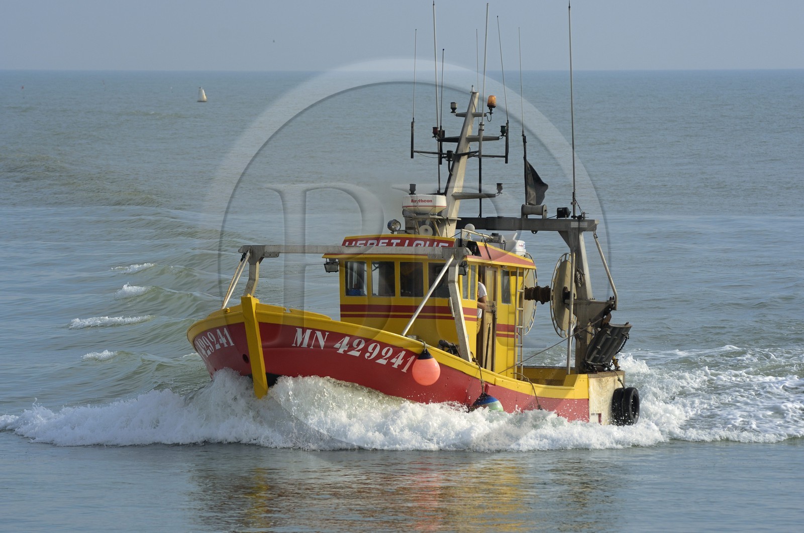 France, Charente-Maritime (17), Ile d'Oléron, retour de pêche au port de la Cotinière