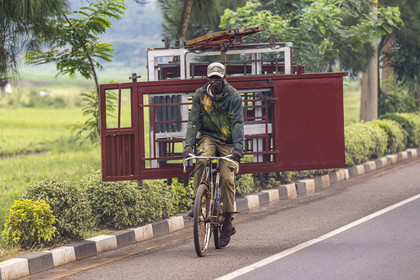 Rwanda, Province de l’Est, Ruhanga, transport de cadre de porte et de fenêtres sur une bicyclette sur la route de Kigali, les bicyclettes sont le principal moyen de transport local