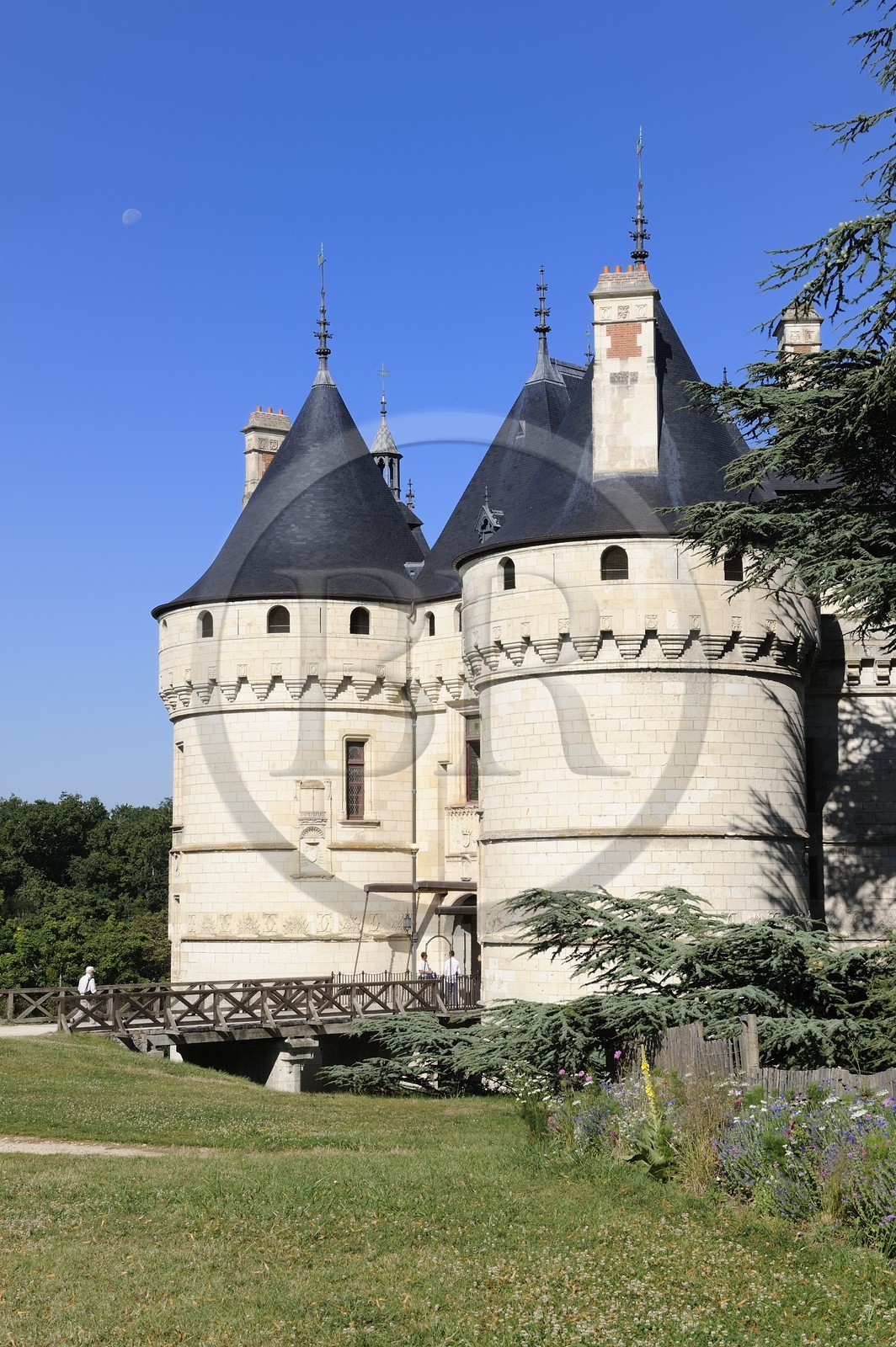 France, Loir et Cher, Loire Valley, listed as World Heritage by UNESCO, Chaumont sur Loire, the castle