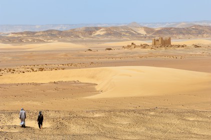 Egypte, Haute-Egypte, désert libyque, forteresse de Umm el-Dabadib au nord-est de Kharga